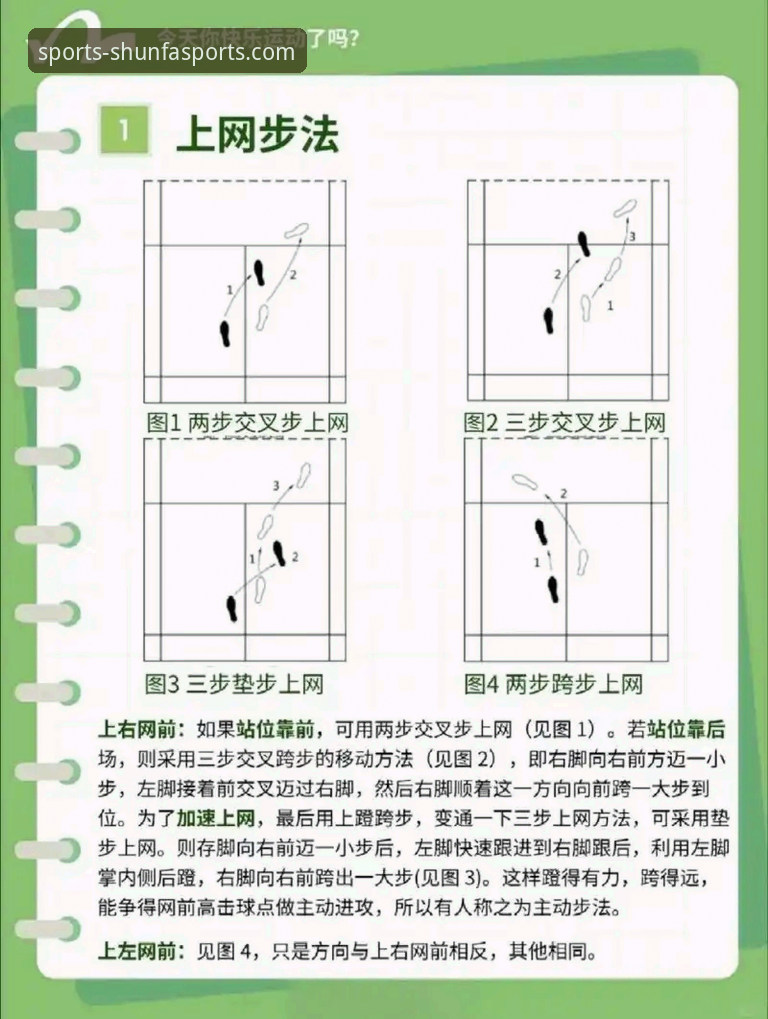 顺发体育平台教程实用指南：从入口到高阶操作的全流程解析